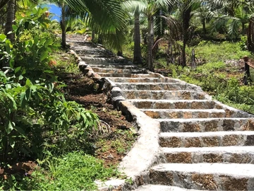 Terrain