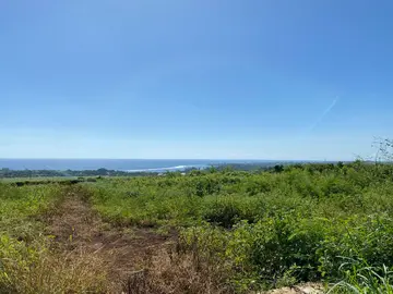 Residential Land