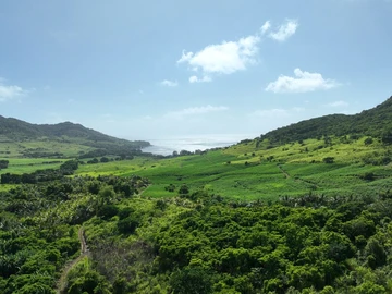 Agricultural Land