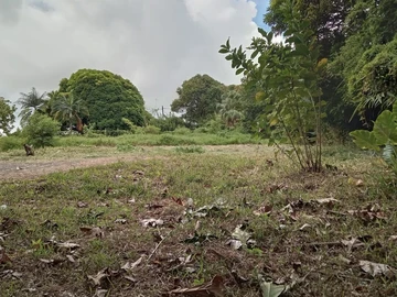 Terrain Résidentiel