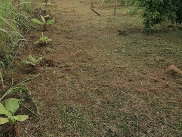 Agricultural Land