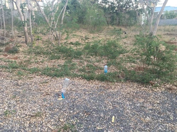 Residential Land