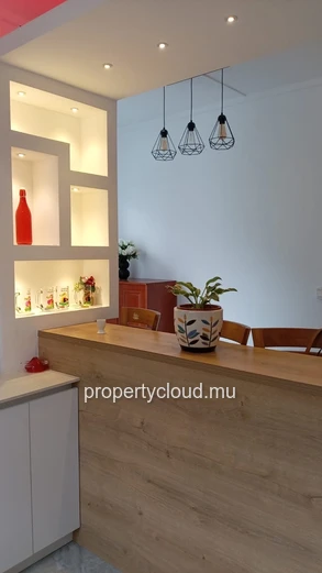 FOR SALE – New villa built in 2025 in the center of Grand Baie