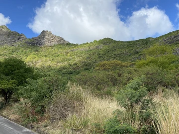 Land