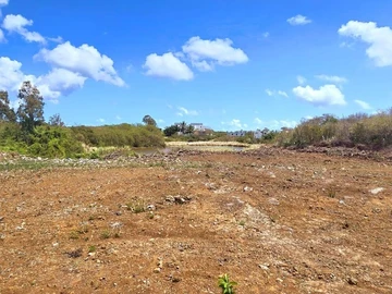 Terrain