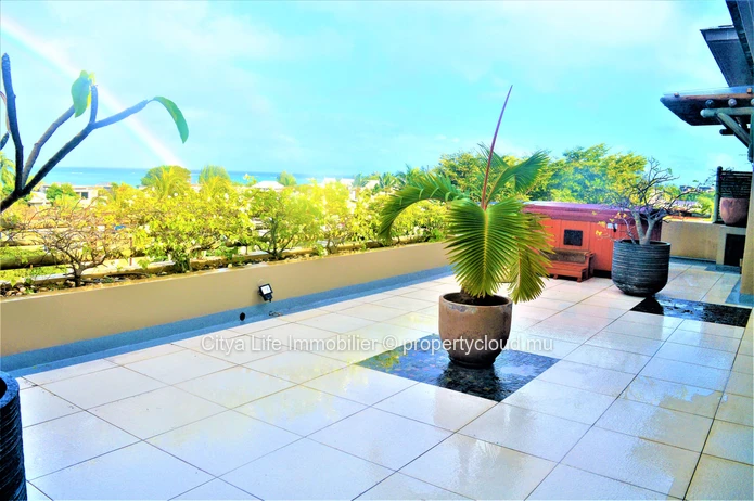 Dream penthouse for sale