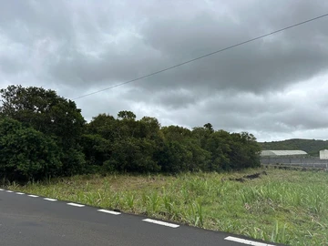 Agricultural Land
