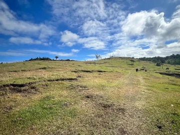 Commercial Land