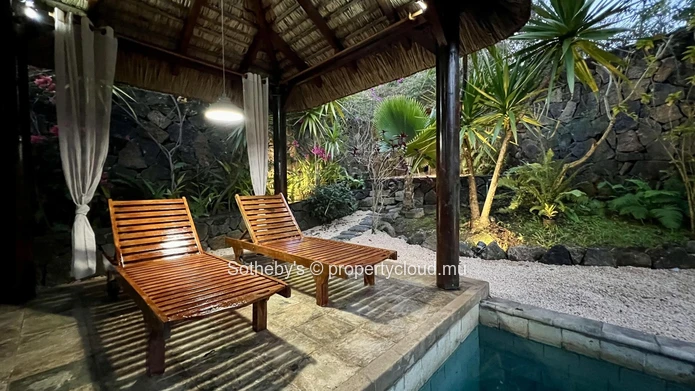 Mountain View Tranquility