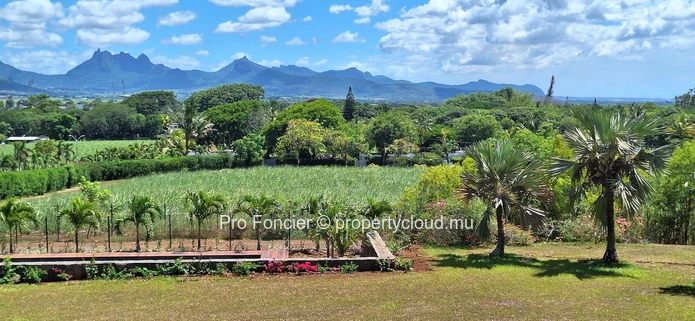 Apartment for rent in Mapou - 'Worth a visit'