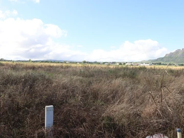 Residential Land