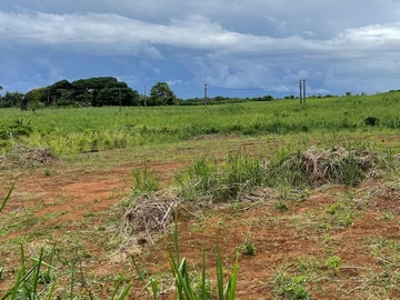 Agricultural Land