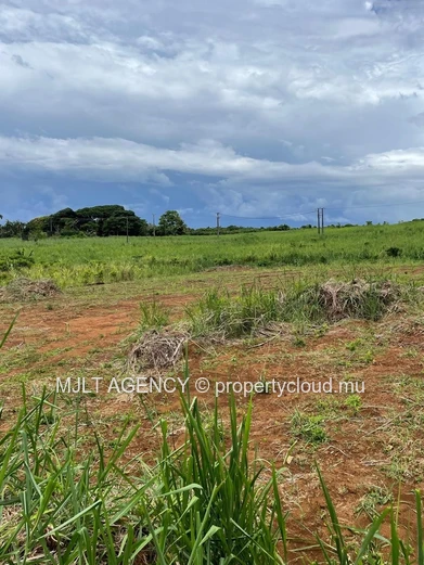 Terrain Agricole - 7750 m² Surinam, Sud