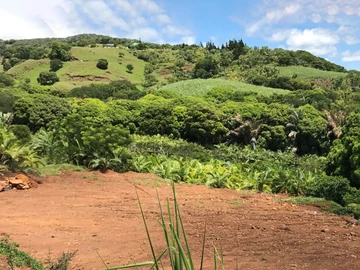 Land