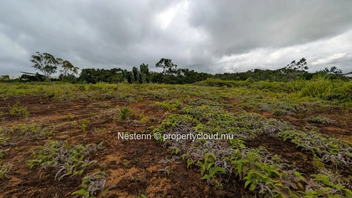 Terrain de 2,321m2 près d'une rivière 
