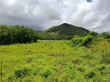 Terrain Agricole
