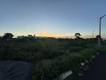 Terrain