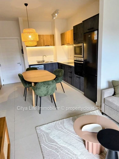 Modern 2-Bedroom Furnished Apartment for Rent in Beau Plan