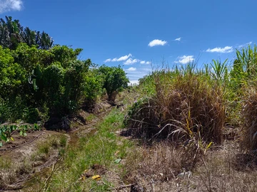 A vendre terrain agricole à Mare D'Australia.