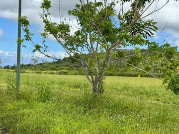 Land