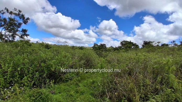 A vast plot of land, thousands of possibilities — 36,332 m² in L'Espérance