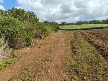Terrain Agricole