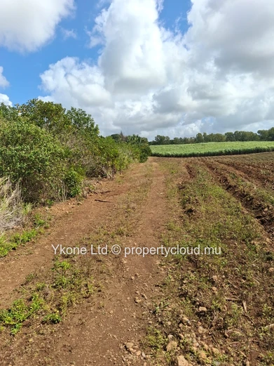 Terrain Agricole En Vente À Mare D'albert
