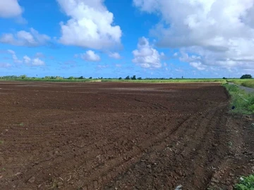 Commercial Land