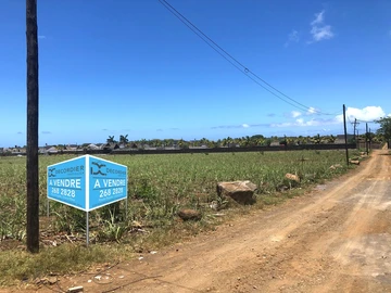 Land