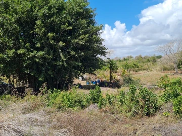 Terrain Agricole
