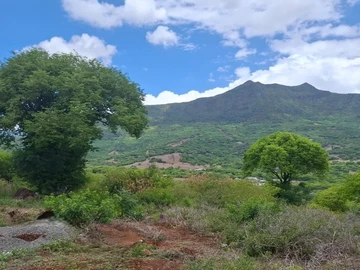 Land