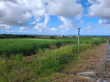 Agricultural Land