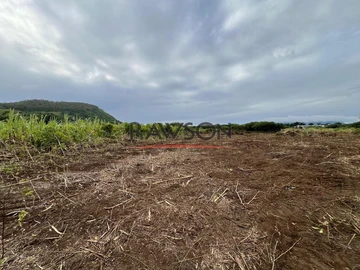 Terrain