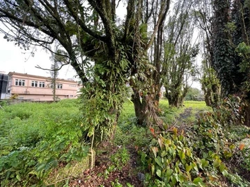 Residential Land