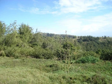 Land