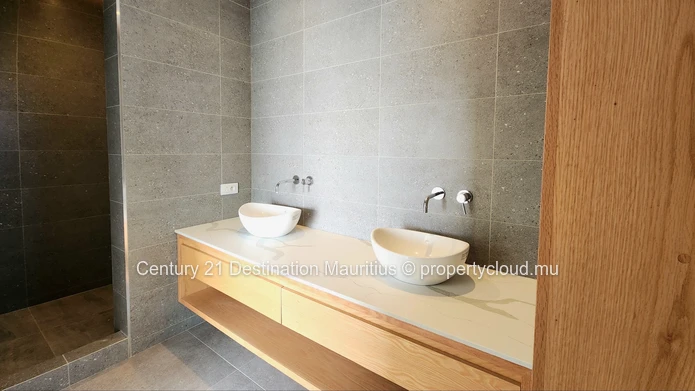 The Penthouse Collection