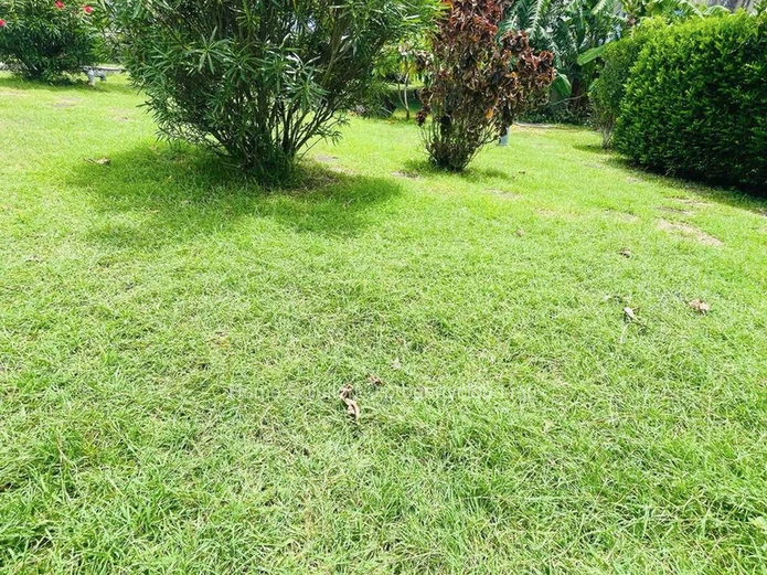 Secured apartment in Grand Baie