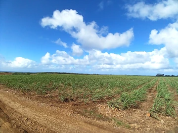 Terrain Agricole