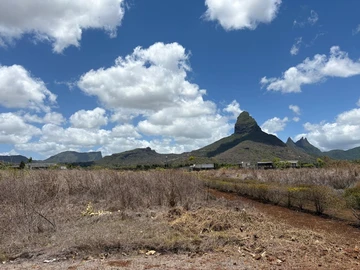 Land
