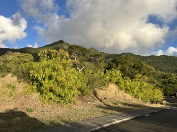 Residential Land