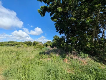 Residential Land