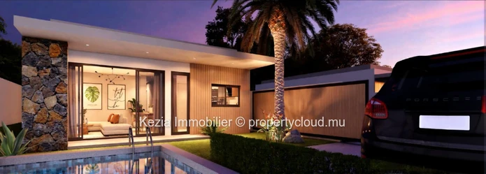 Single-Storey Contemporary Villa 