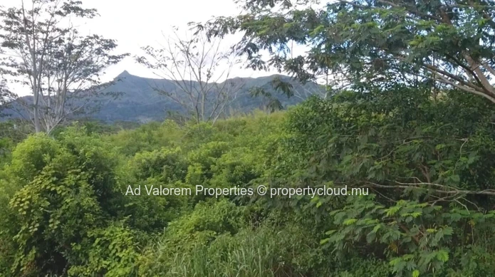 Terrain résidentiel à vendre à La Gaulette