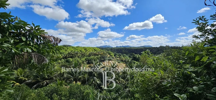2 Bras - Terrain Agricole - 31 Arpents