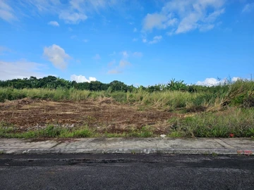Residential Land