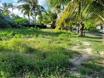 Land
