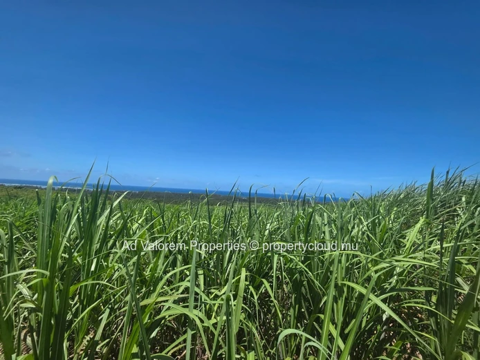 Grand Terrain Agricole à Vendre!