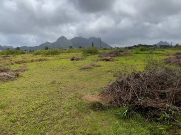 Terrain