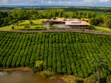 Agricultural Land