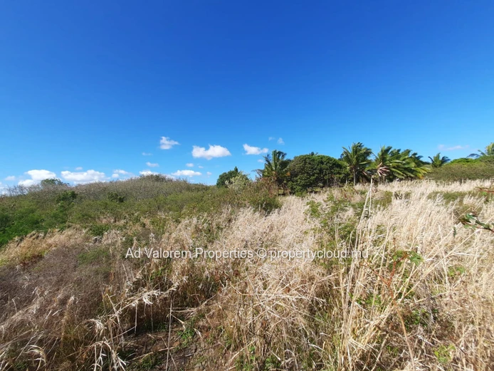 Land of 1.25 arpent for sale in old St Antoine